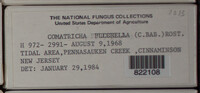 Image Associated With the Occurence